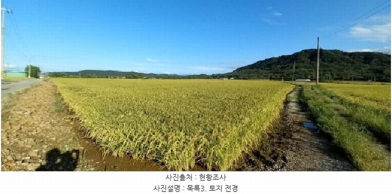 2025타경3213 강원특별자치도 철원군 철원읍 사요리 656 농지 경매 이미지