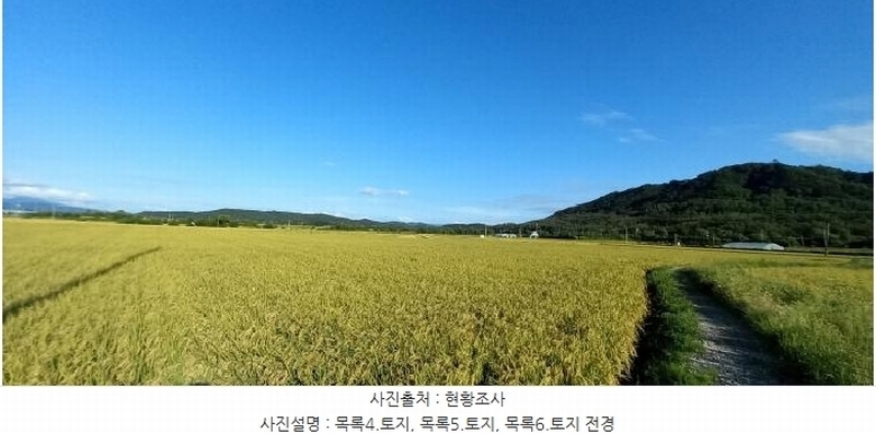 2025타경3213 강원특별자치도 철원군 철원읍 사요리 656 농지 경매 이미지