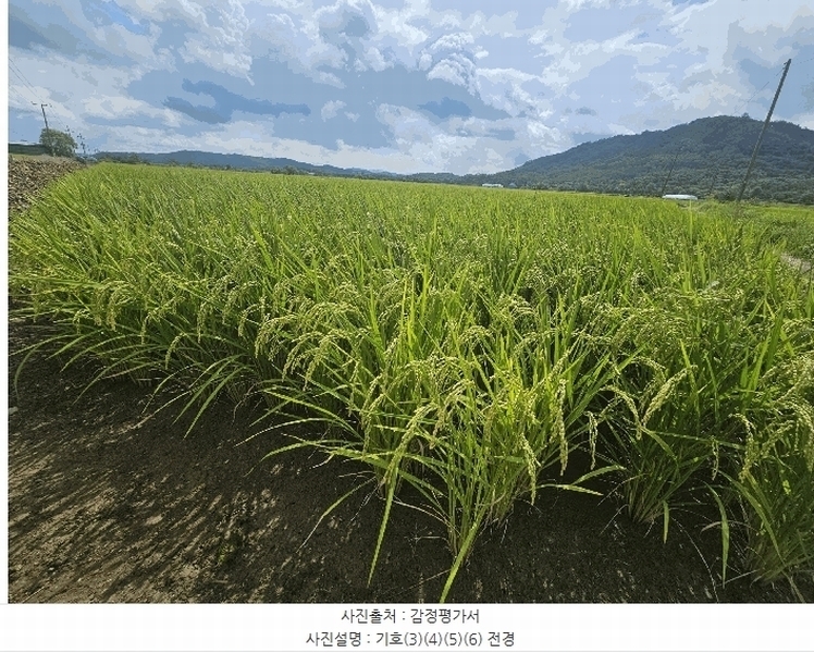 2025타경3213 강원특별자치도 철원군 철원읍 사요리 656 농지 경매 이미지
