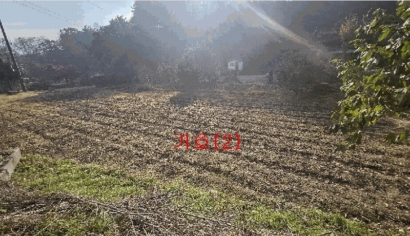 2025타경73454 경기도 포천시 신북면 가채리 597-1 농지 경매 이미지