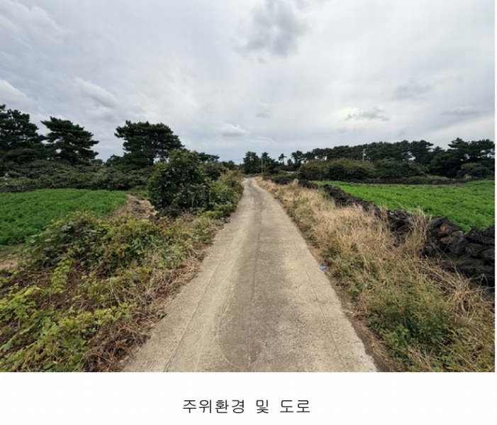 2025타경1789 제주특별자치도 제주시 구좌읍 한동리 1739 임야 경매 이미지
