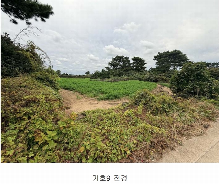 2025타경1789 제주특별자치도 제주시 구좌읍 한동리 1739 임야 경매 이미지