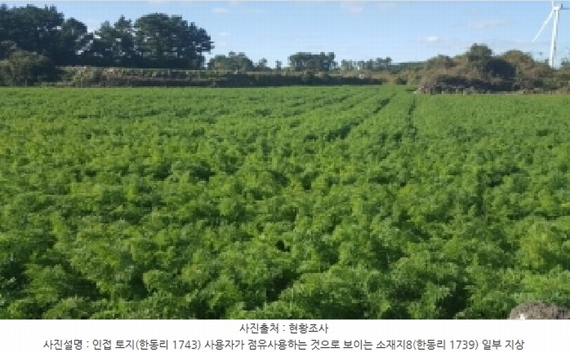 2025타경1789 제주특별자치도 제주시 구좌읍 한동리 1739 임야 경매 이미지