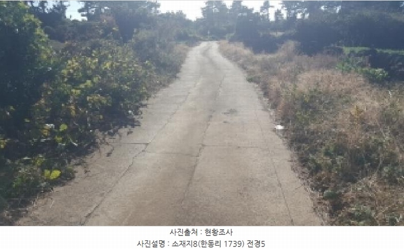 2025타경1789 제주특별자치도 제주시 구좌읍 한동리 1739 임야 경매 이미지
