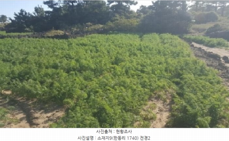 2025타경1789 제주특별자치도 제주시 구좌읍 한동리 1739 임야 경매 이미지