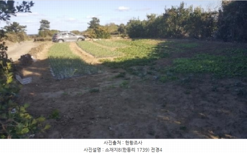 2025타경1789 제주특별자치도 제주시 구좌읍 한동리 1739 임야 경매 이미지