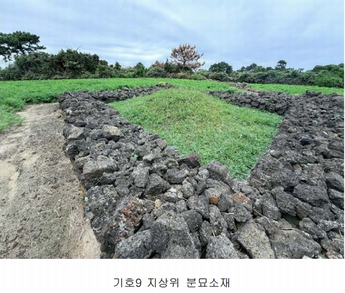 2025타경1789 제주특별자치도 제주시 구좌읍 한동리 1739 임야 경매 이미지