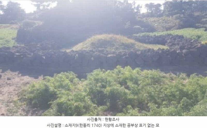 2025타경1789 제주특별자치도 제주시 구좌읍 한동리 1739 임야 경매 이미지