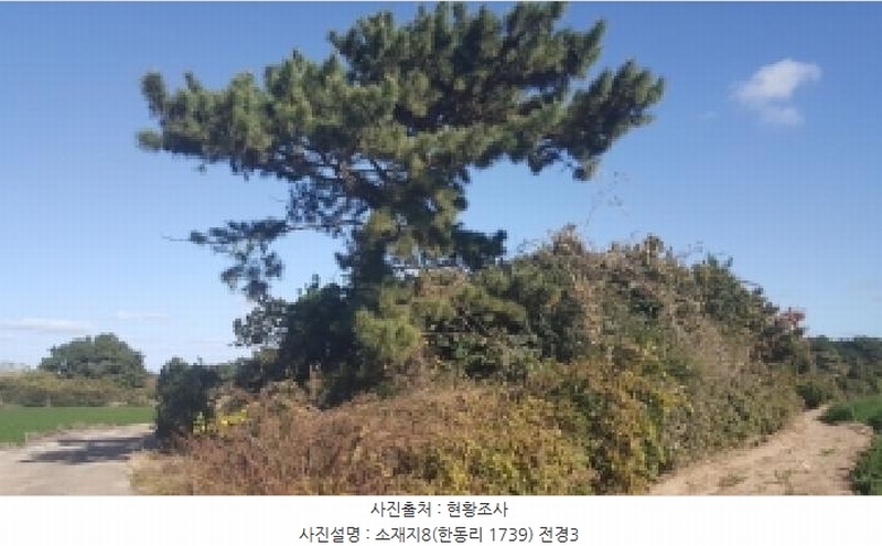 2025타경1789 제주특별자치도 제주시 구좌읍 한동리 1739 임야 경매 이미지