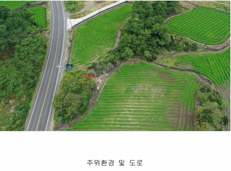 2025타경1789 제주특별자치도 제주시 구좌읍 한동리 1549-9 임야 경매 이미지