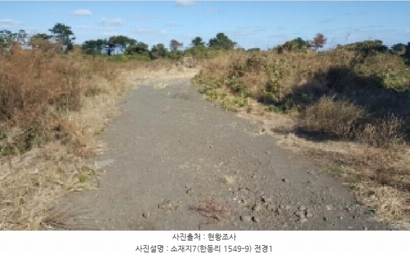 2025타경1789 제주특별자치도 제주시 구좌읍 한동리 1549-9 임야 경매 이미지