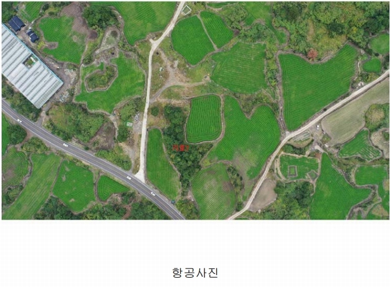 2025타경1789 제주특별자치도 제주시 구좌읍 한동리 1549-9 임야 경매 이미지