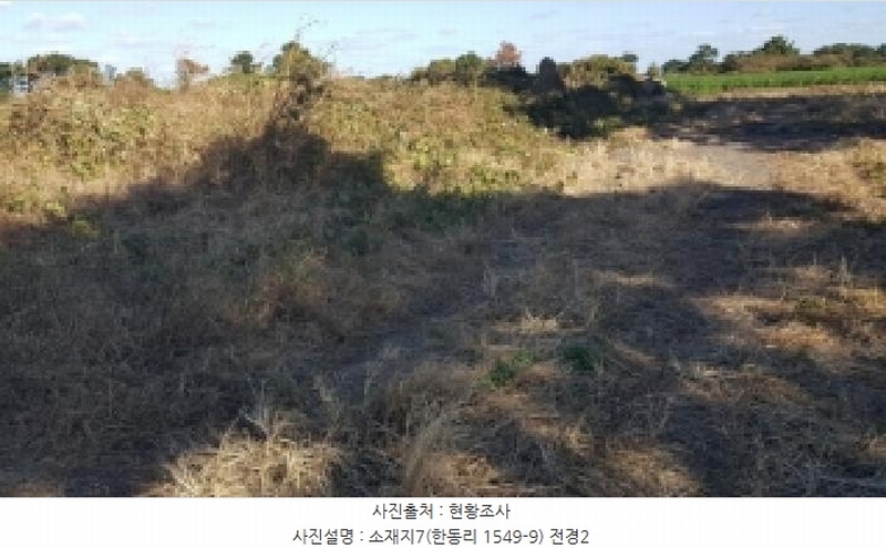 2025타경1789 제주특별자치도 제주시 구좌읍 한동리 1549-9 임야 경매 이미지