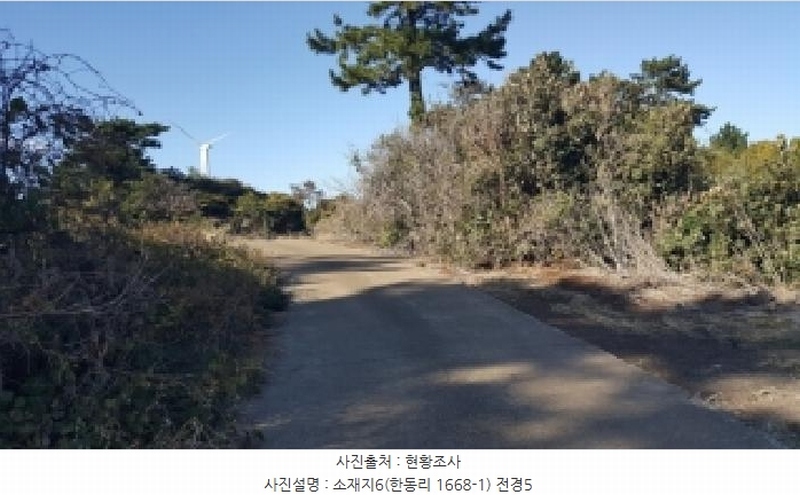2025타경1789 제주특별자치도 제주시 구좌읍 한동리 1668-1 임야 경매 이미지