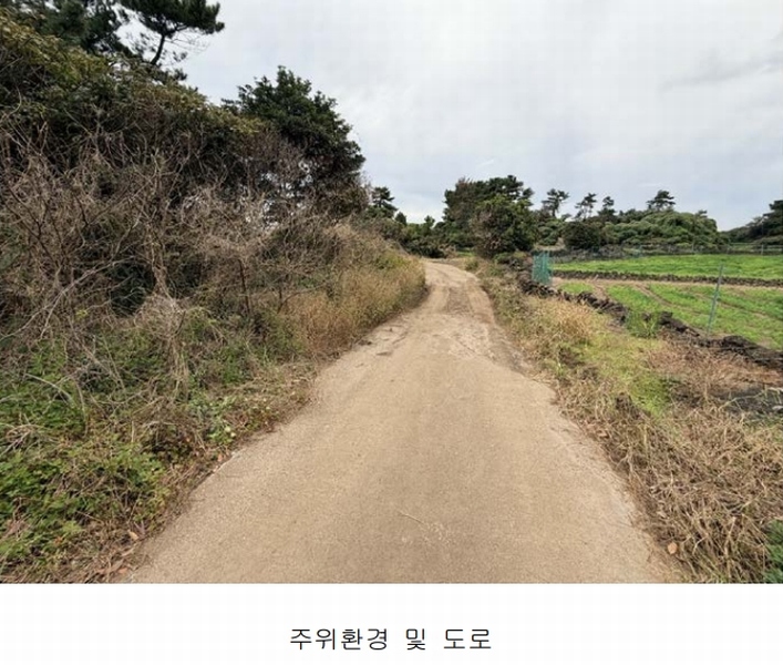 2025타경1789 제주특별자치도 제주시 구좌읍 한동리 1668-1 임야 경매 이미지