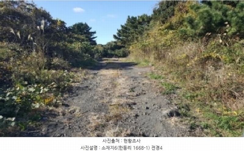 2025타경1789 제주특별자치도 제주시 구좌읍 한동리 1668-1 임야 경매 이미지