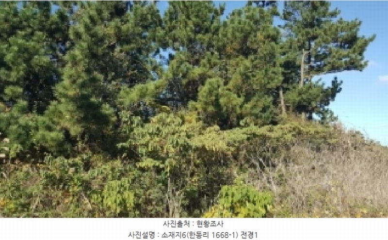 2025타경1789 제주특별자치도 제주시 구좌읍 한동리 1668-1 임야 경매 이미지