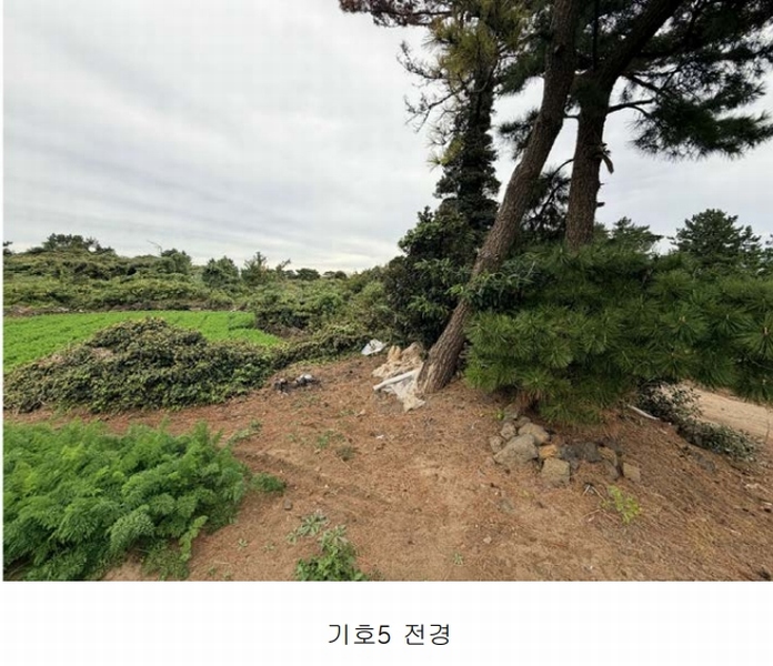 2025타경1789 제주특별자치도 제주시 구좌읍 한동리 1658-1 임야 경매 이미지