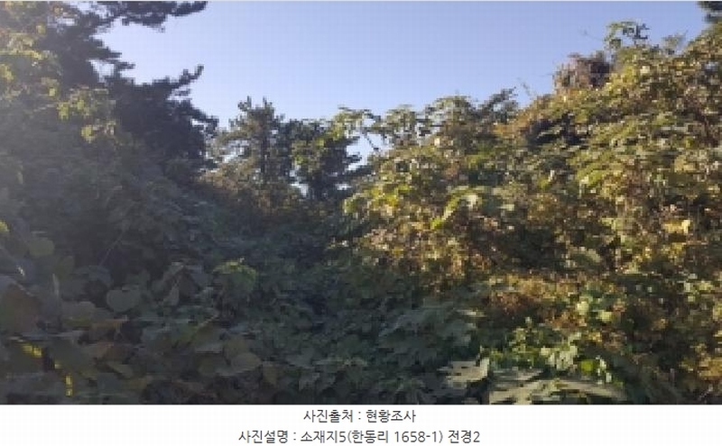 2025타경1789 제주특별자치도 제주시 구좌읍 한동리 1658-1 임야 경매 이미지
