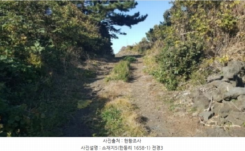 2025타경1789 제주특별자치도 제주시 구좌읍 한동리 1658-1 임야 경매 이미지