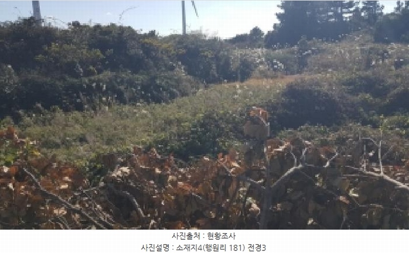 2025타경1789 제주특별자치도 제주시 구좌읍 행원리 181 농지 경매 이미지