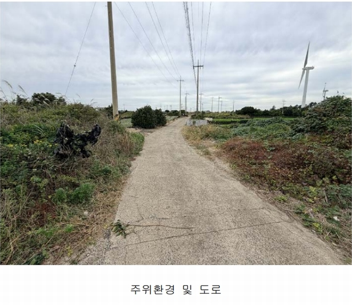 2025타경1789 제주특별자치도 제주시 구좌읍 행원리 181 농지 경매 이미지