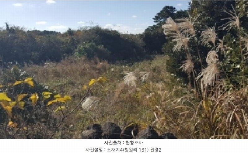 2025타경1789 제주특별자치도 제주시 구좌읍 행원리 181 농지 경매 이미지