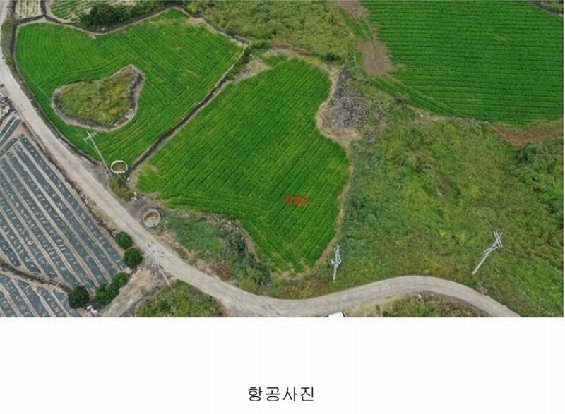 2025타경1789 제주특별자치도 제주시 구좌읍 행원리 157-1 농지 경매 이미지