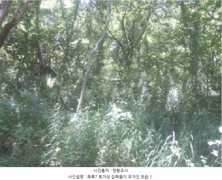 2025타경31471 전북특별자치도 완주군 구이면 백여리 251 농지 경매 이미지
