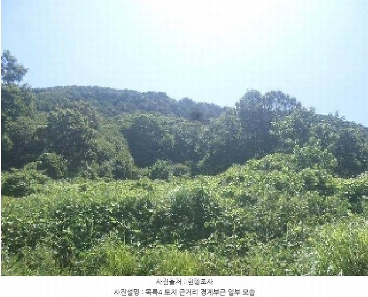 2025타경31471 전북특별자치도 임실군 임실읍 현곡리 산81-1 임야 경매 이미지
