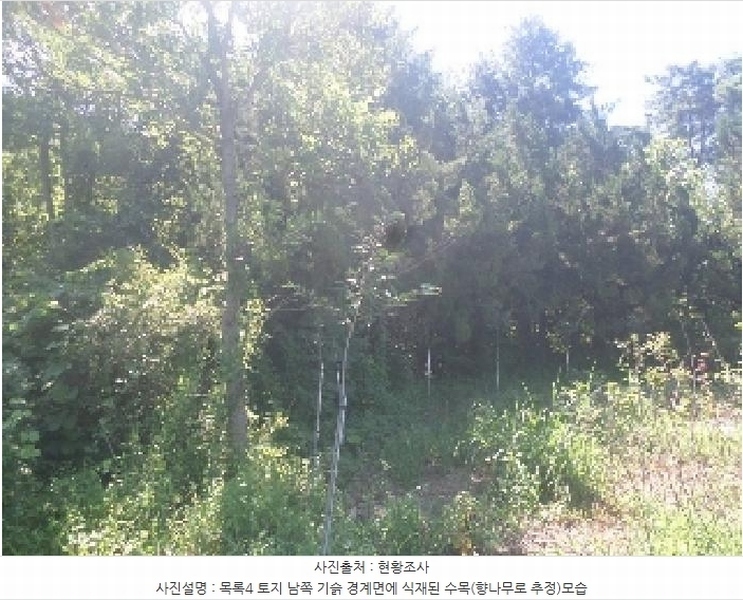 2025타경31471 전북특별자치도 임실군 임실읍 현곡리 산81-1 임야 경매 이미지