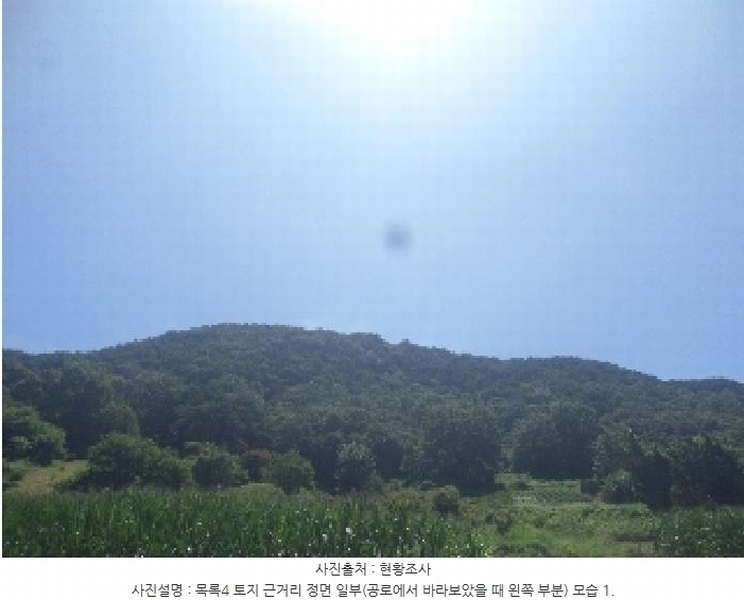 2025타경31471 전북특별자치도 임실군 임실읍 현곡리 산81-1 임야 경매 이미지