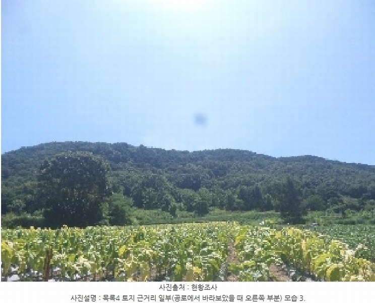 2025타경31471 전북특별자치도 임실군 임실읍 현곡리 산81-1 임야 경매 이미지