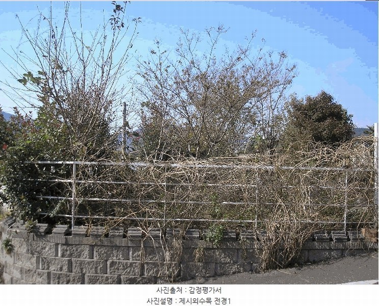 2025타경666 전라남도 여수시 소라면 죽림리 983-7 근린주택 경매 이미지