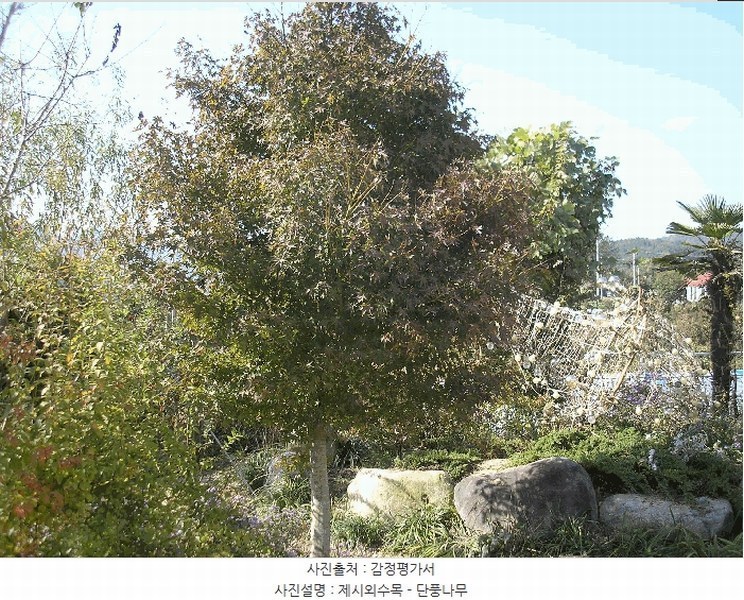 2025타경666 전라남도 여수시 소라면 죽림리 983-7 근린주택 경매 이미지