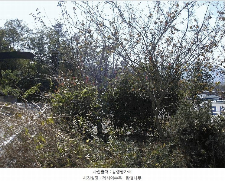 2025타경666 전라남도 여수시 소라면 죽림리 983-7 근린주택 경매 이미지