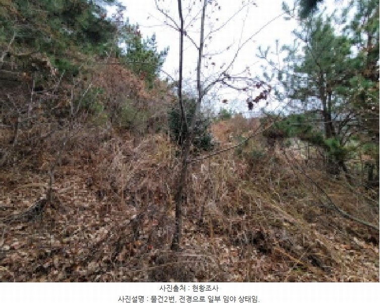 2025타경710 전라남도 여수시 돌산읍 둔전리 112-5 농지 경매 이미지