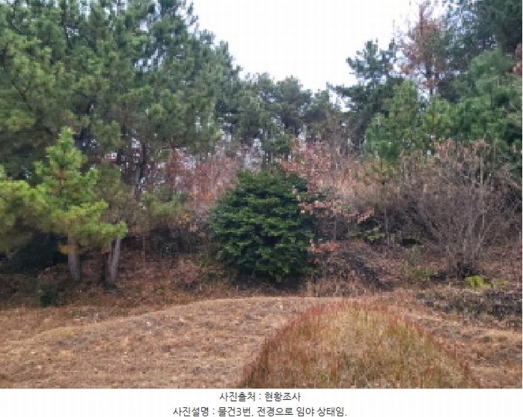 2025타경710 전라남도 여수시 돌산읍 둔전리 112-5 농지 경매 이미지