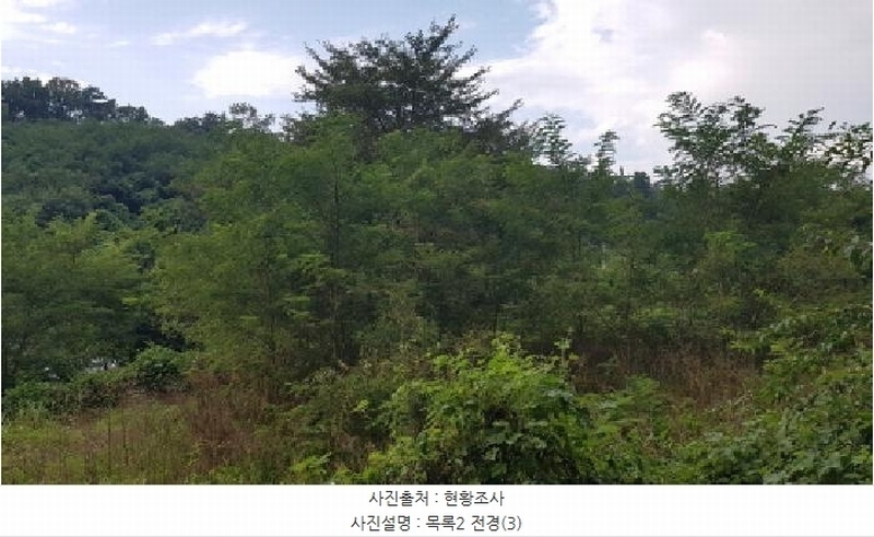 2025타경12149 충청남도 천안시 서북구 신당동 144-1 농지 경매 이미지