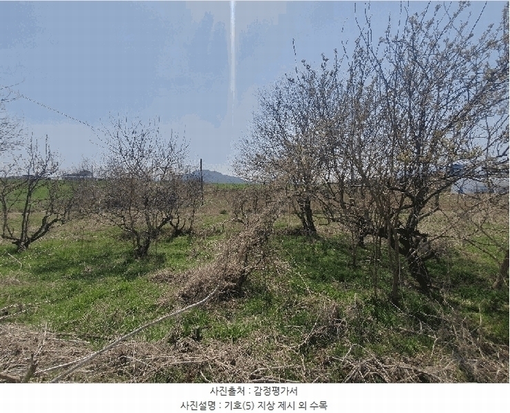 2025타경15638 충청남도 예산군 삽교읍 송산리 80-7 과수원 경매 이미지
