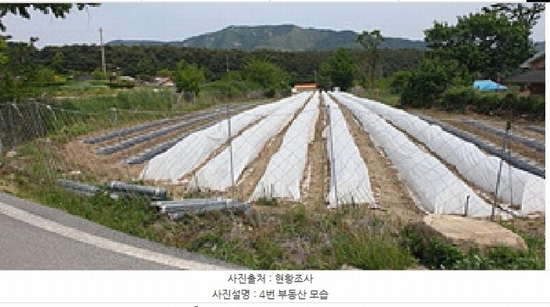 2025타경15713 충청남도 예산군 덕산면 외라리 206 농지 경매 이미지