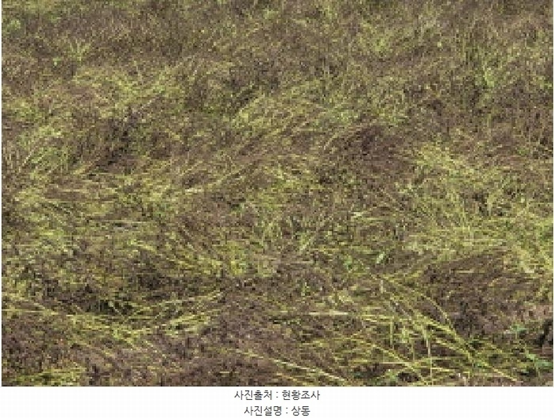 2025타경12474 충청남도 아산시 음봉면 동천리 69-3 농지 경매 이미지