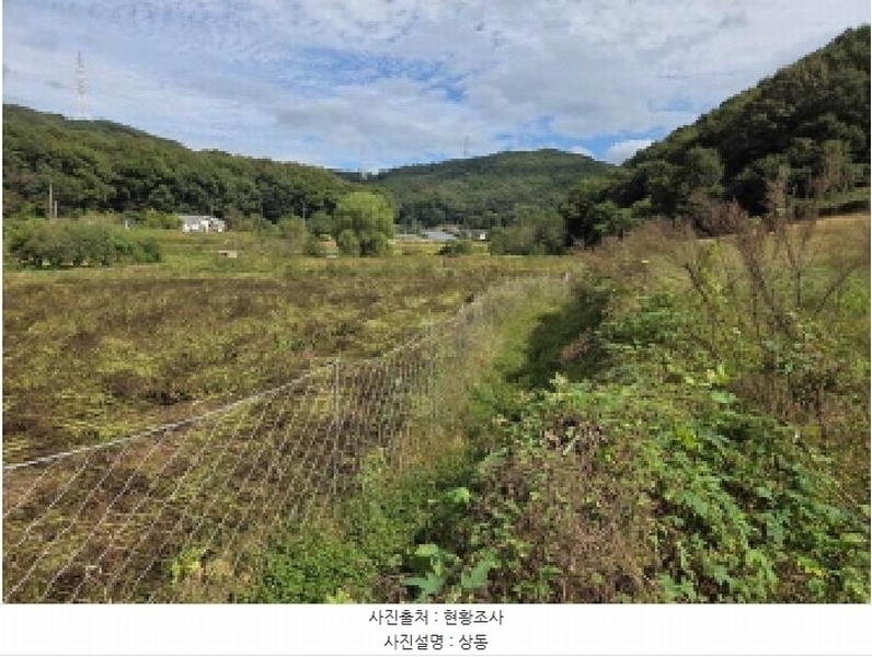 2025타경12474 충청남도 아산시 음봉면 동천리 69-3 농지 경매 이미지