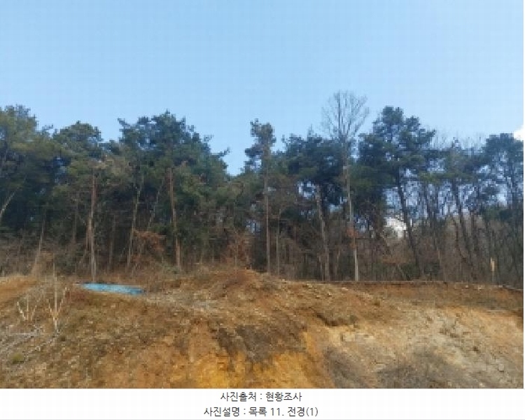 2025타경54381 경기도 용인시 수지구 동천동 699 임야 경매 이미지