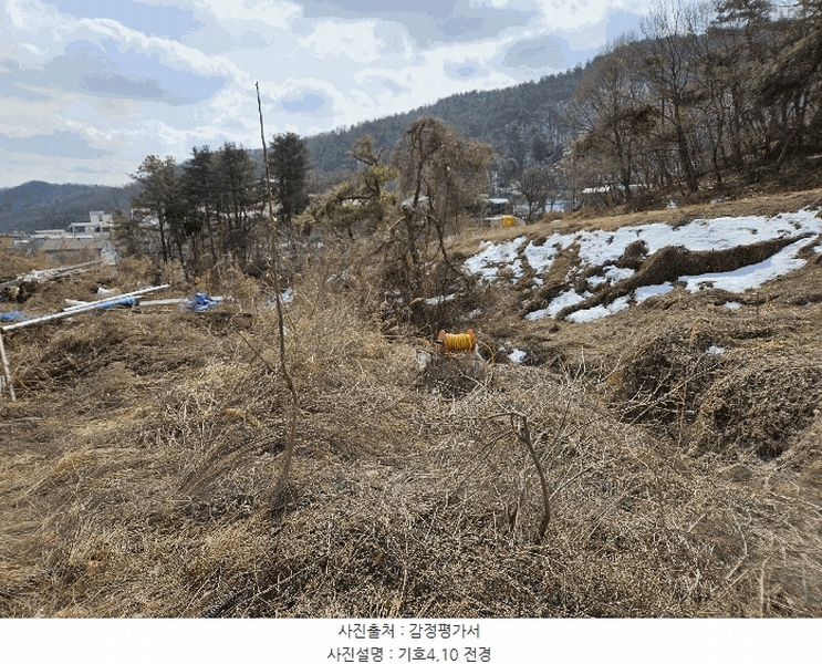 2025타경54381 경기도 용인시 수지구 동천동 699 임야 경매 이미지