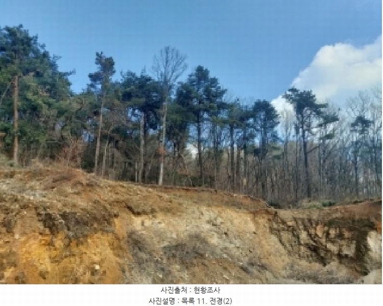 2025타경54381 경기도 용인시 수지구 동천동 699 임야 경매 이미지