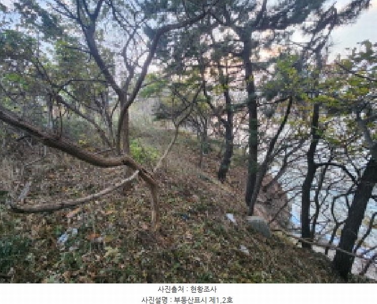 2025타경361 전북특별자치도 부안군 변산면 격포리 651-59 농지 경매 이미지