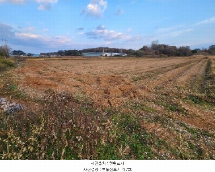 2025타경368 전북특별자치도 부안군 줄포면 파산리 809-5 농지 경매 이미지