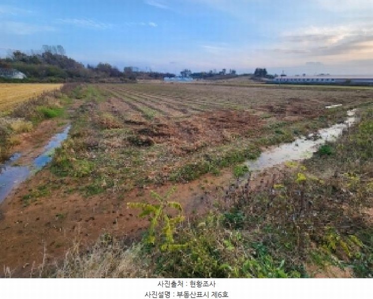 2025타경368 전북특별자치도 부안군 줄포면 파산리 809-2 농지 경매 이미지
