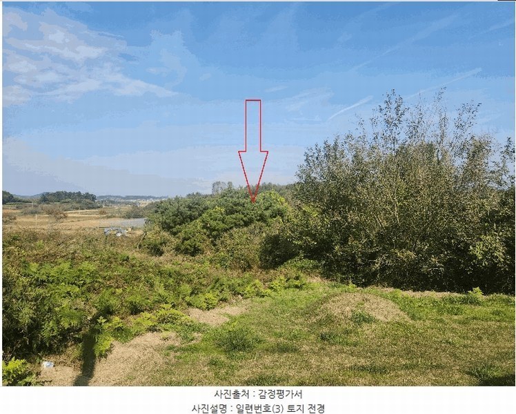 경매 이미지